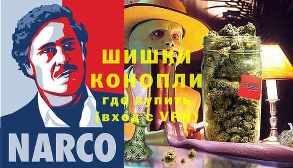 ПСИЛОЦИБИНОВЫЕ ГРИБЫ Абаза