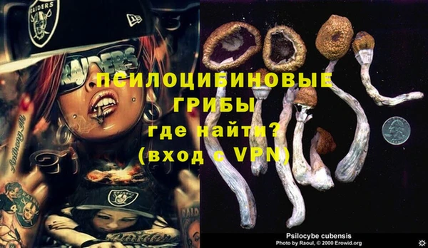 ПСИЛОЦИБИНОВЫЕ ГРИБЫ Абаза
