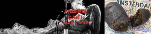 стафф Гатчина