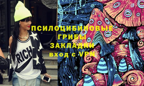 ПСИЛОЦИБИНОВЫЕ ГРИБЫ Абаза