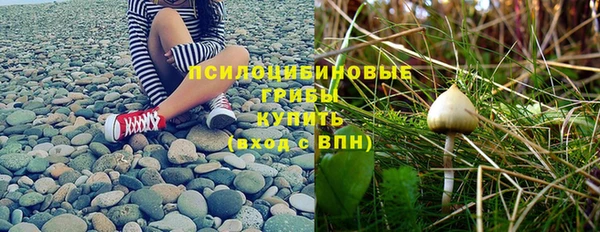 ПСИЛОЦИБИНОВЫЕ ГРИБЫ Абаза