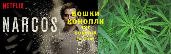 ПСИЛОЦИБИНОВЫЕ ГРИБЫ Абаза
