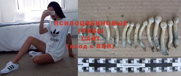 гидра Абинск